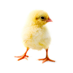 Similar image 863511