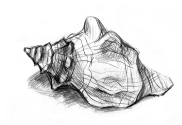 Similar image 863518