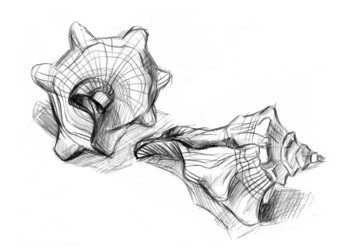 Similar image 863520