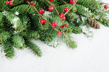 Similar image 863633