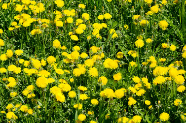 Similar image 863680