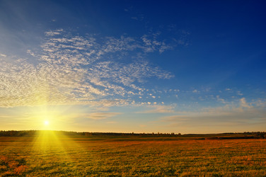 Similar image 863702