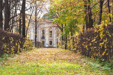 Similar image 863762