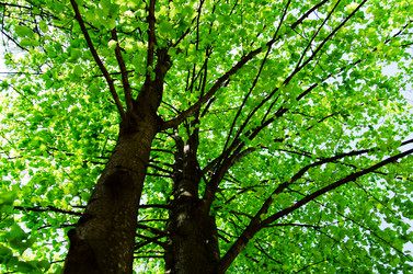 Similar image 863764