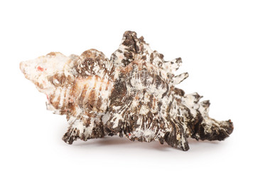 Similar image 863771