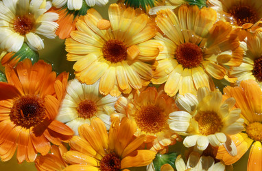 Similar image 863773