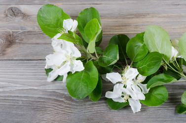 Similar image 863777