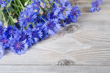 Similar image 863779