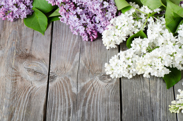 Similar image 863790