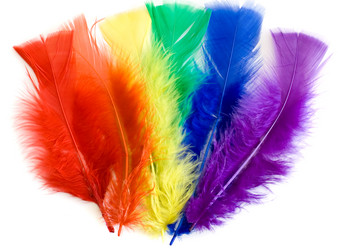 Similar image 863809