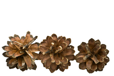 Similar image 863853