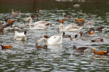 Similar image 863890