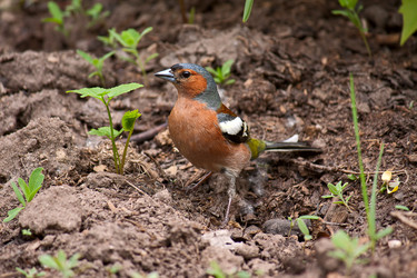 Similar image 863915