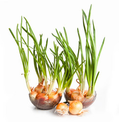 Similar image 863982