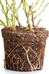 Similar image 863993