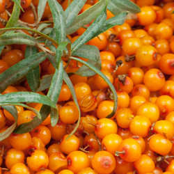 Similar image 864029