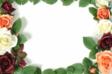 Similar image 864039