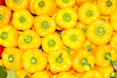 Similar image 864065