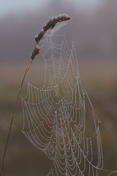 Similar image 864201