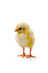 Similar image 864242