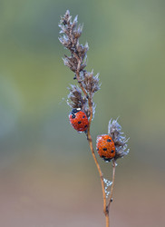 Similar image 864247