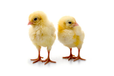 Similar image 864265