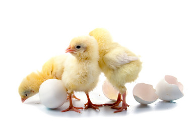 Similar image 864322