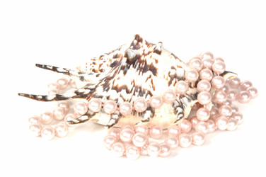 Similar image 864363