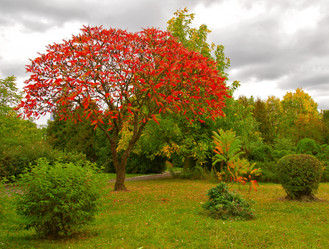 Similar image 864421