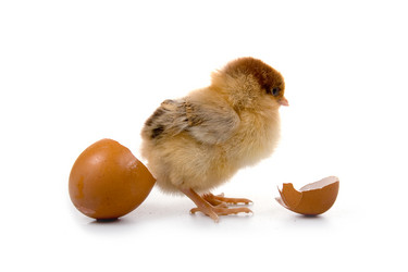 Similar image 864455