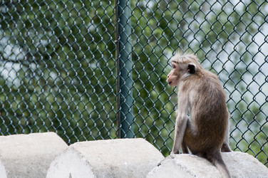 Similar image 864509