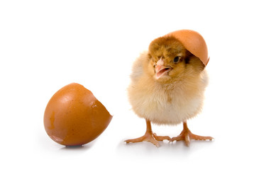 Similar image 864514