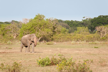 Similar image 864519