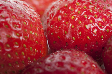 Similar image 864523