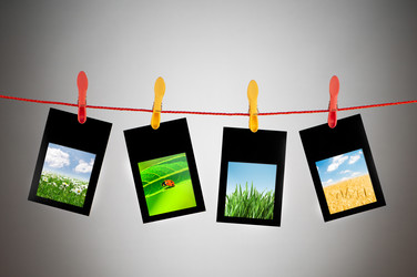 Similar image 864532