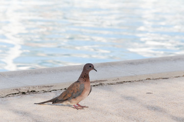 Similar image 864541