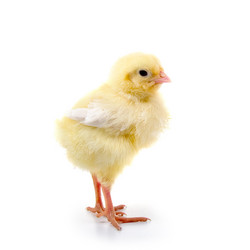 Similar image 864588