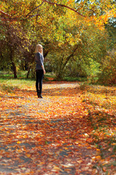 Similar image 864589