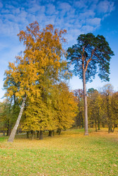 Similar image 864722