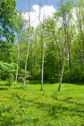 Similar image 864725