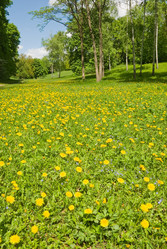 Similar image 864726