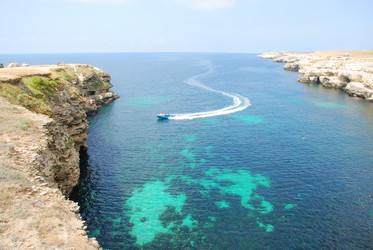 Similar image 864729