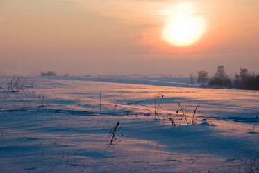 Similar image 864730