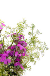 Similar image 864741