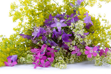 Similar image 864744