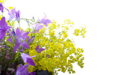 Similar image 864751