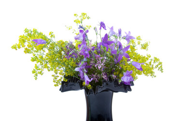 Similar image 864755