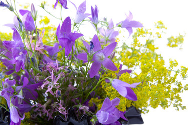 Similar image 864760