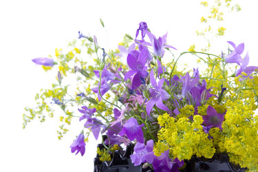 Similar image 864771