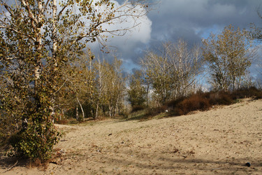 Similar image 864896